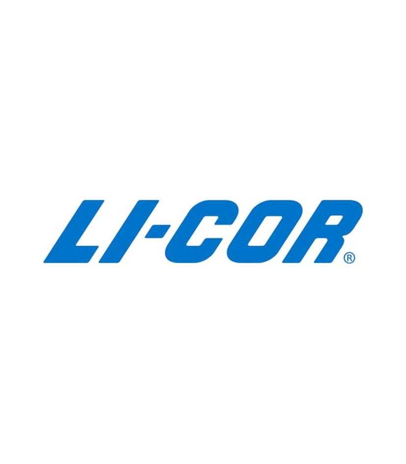 Licor